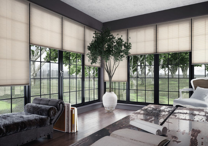 Pleated Blind Technologies: Standard Pleated or Thermal Insulating Honeycomb Blind?