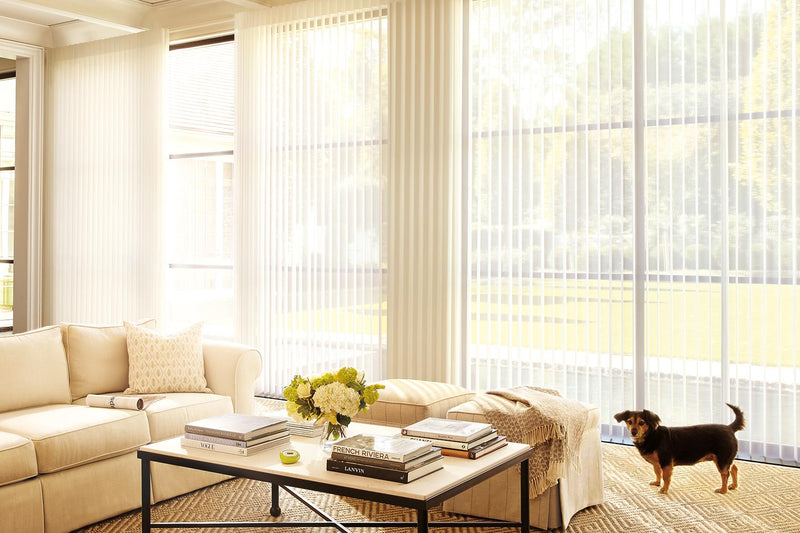 Smart Curtain Users and Satisfaction Guide: Color Selection and Usage Advantages
