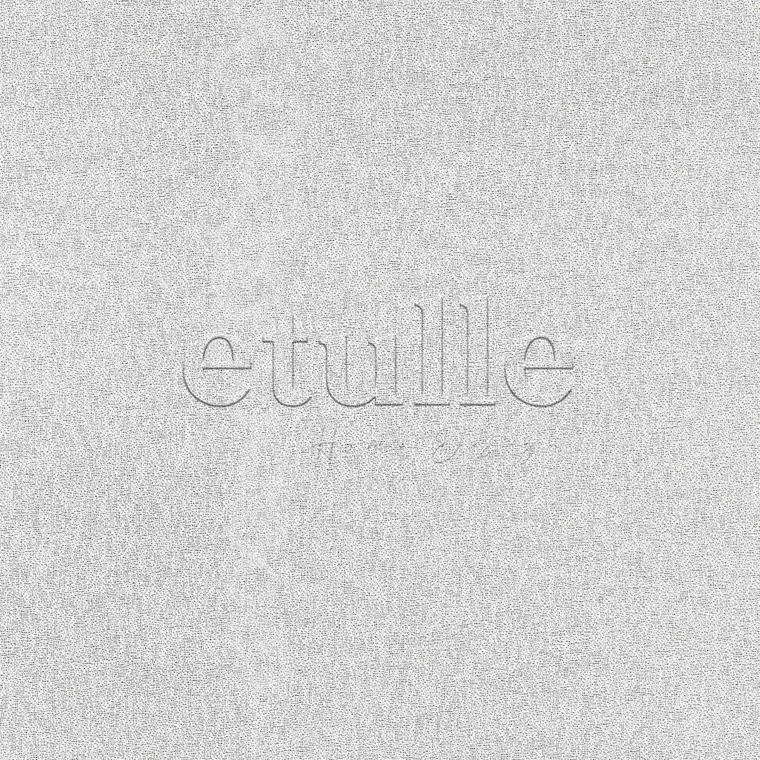 Ecru Silk Crepe Frosted Tightly Woven Plain Net Curtain | Onetti