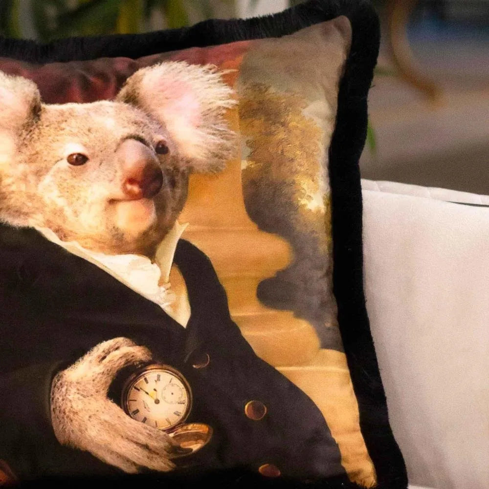 Mr. Koala - EY248