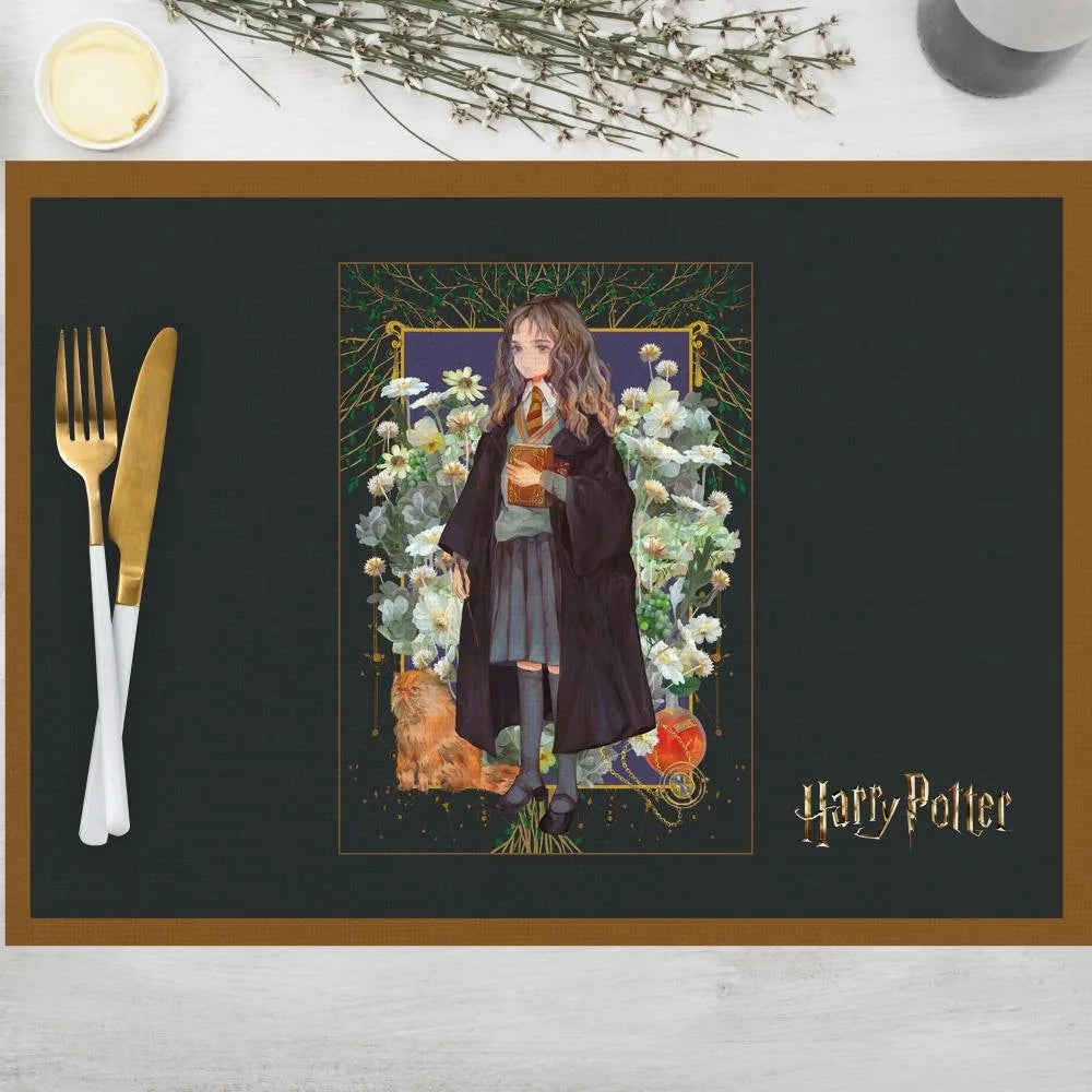 Harry Potter Hedwig ve Phoenix İllüstrasyonlu 4 lü Set (30x50)